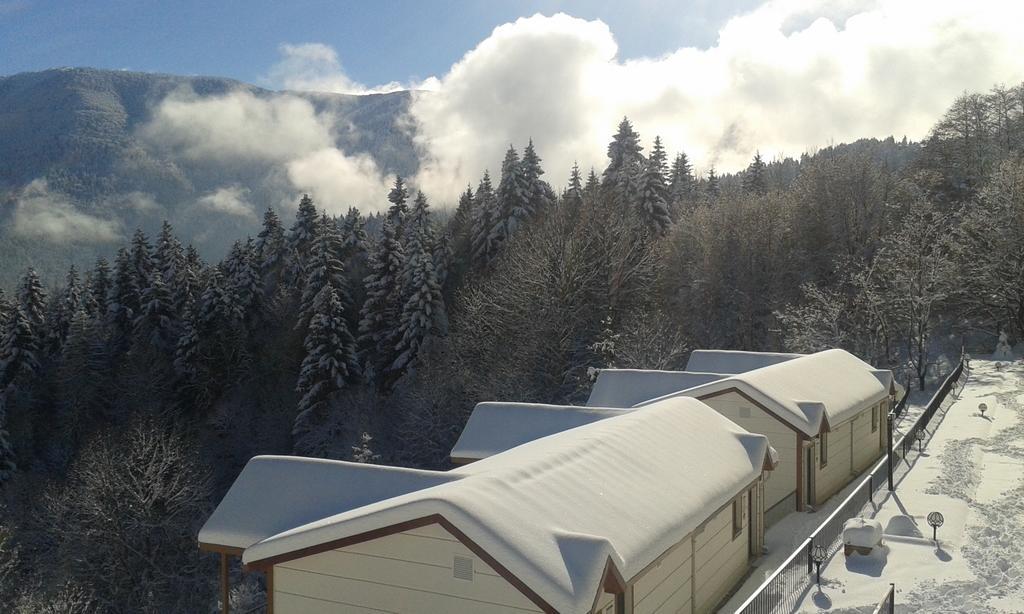 Koliva Otel Artvin Buitenkant foto