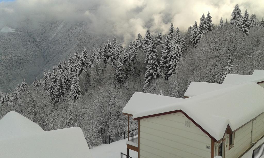 Koliva Otel Artvin Kamer foto