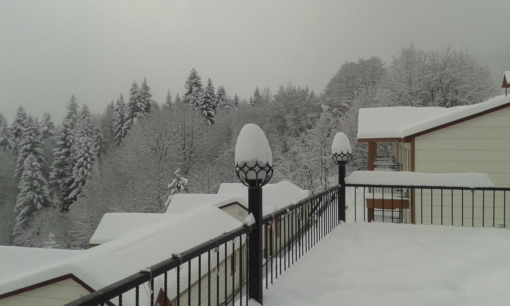 Koliva Otel Artvin Kamer foto