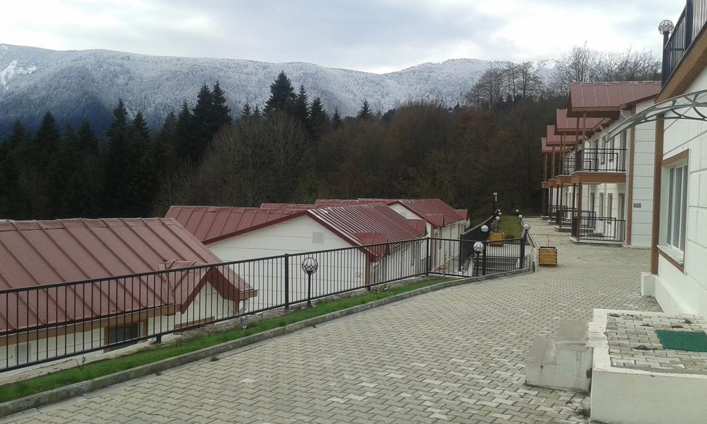 Koliva Otel Artvin Kamer foto