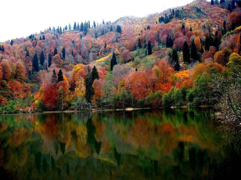 Koliva Otel Artvin Buitenkant foto